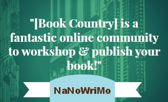 NaNoWriMo Praise for Book Country